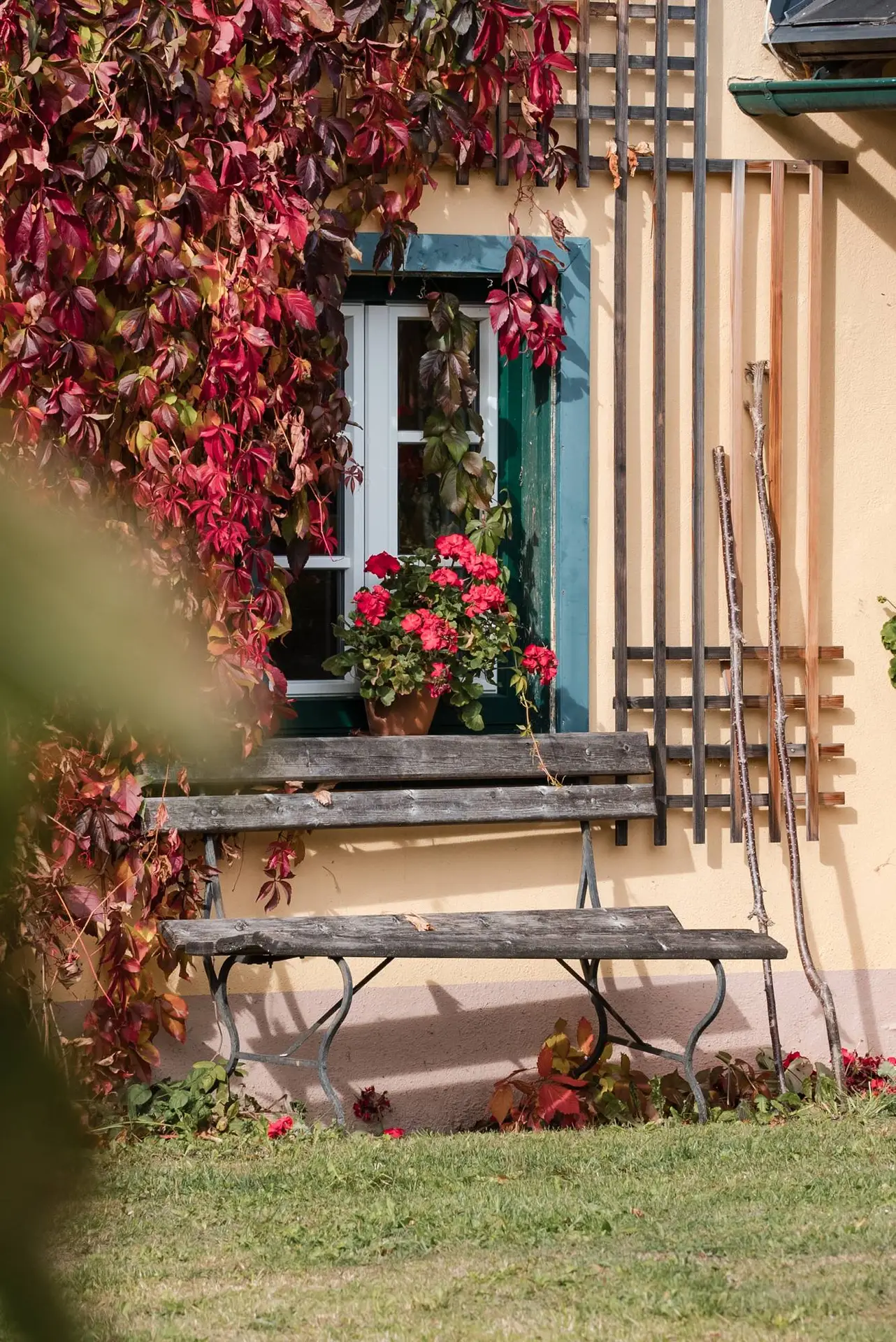 Ein malerischer Sitzbereich im Freien mit einer Holzbank, bunten Topfblumen und einer weinbewachsenen Wand neben einem Fenster mit grünen Fensterläden.